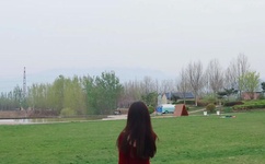 倒霉熊逃离房间